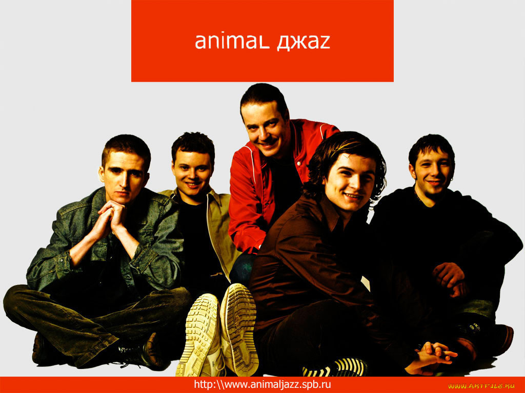 animal, zz1, , z